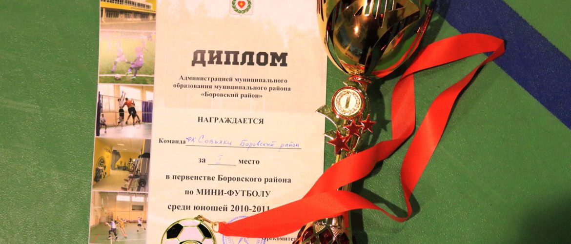 Первенство Боровского района по мини-футболу среди мальчиков 2010-2011 г.р.