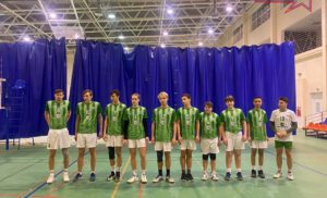 Чемпионата Боровского района по волейболу