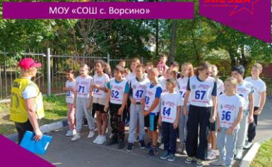 Приём нормативов комплекса ГТО у учеников МОУ СОШ с Ворсино.