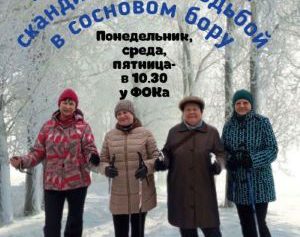 СКАНДИНАВСКИМ ШАГОМ ЗА ЗДОРОВЬЕМ.