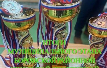 ИТОГИ МУНИЦИПАЛЬНОГО ЭТАПА БОРОВСКОЙ РАЙОННОЙ ШКОЛЬНОЙ СПОРТИВНОЙ ЛИГИ.