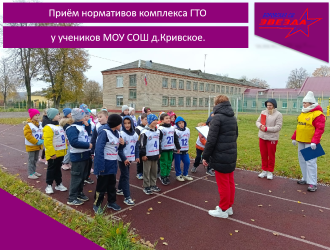 Приём нормативов комплекса ГТО у учеников МОУ СОШ д.Кривское.
