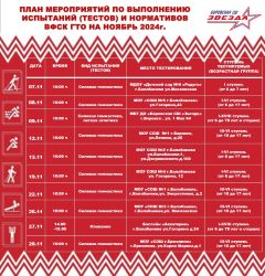 План мероприятий по выполнению испытаний нормативов ВФСК ГТО на ноябрь 2024г