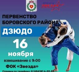 Первенство Боровского района по ДЗЮДО