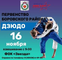 Первенство Боровского района по ДЗЮДО