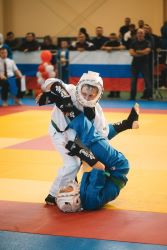 Чемпионат и Первенство Центрального федерального округа по КУДО