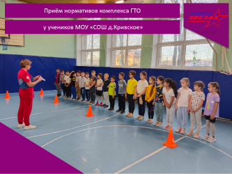 Приём  нормативов комплекса ГТО у учеников МОУ «СОШ д.Кривское».