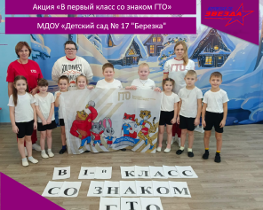 Приём нормативов комплекса ГТО у воспитанников МДОУ «Детский сад № 17 «Березка»