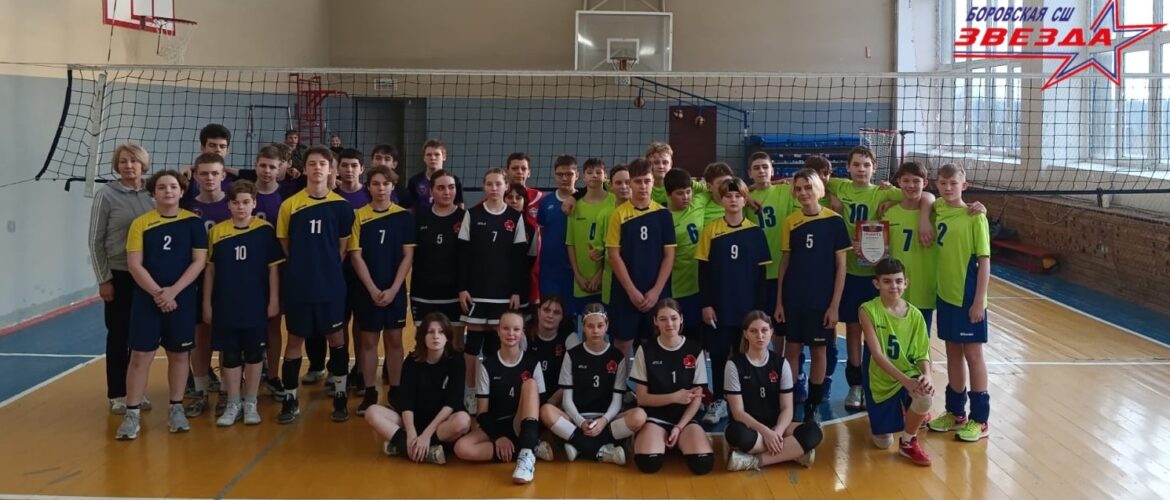 Первенство Боровского района по волейболу