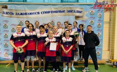 Соревнования по волейболу в рамках Боровской районной школьной лиги( II группа, сельские школы)