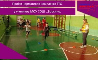 Приём нормативов комплекса ГТО у учеников МОУ СОШ с.Ворсино.