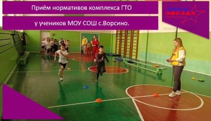 Приём нормативов комплекса ГТО у учеников МОУ СОШ с.Ворсино.