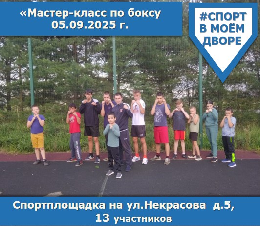 Мастер класс по боксу