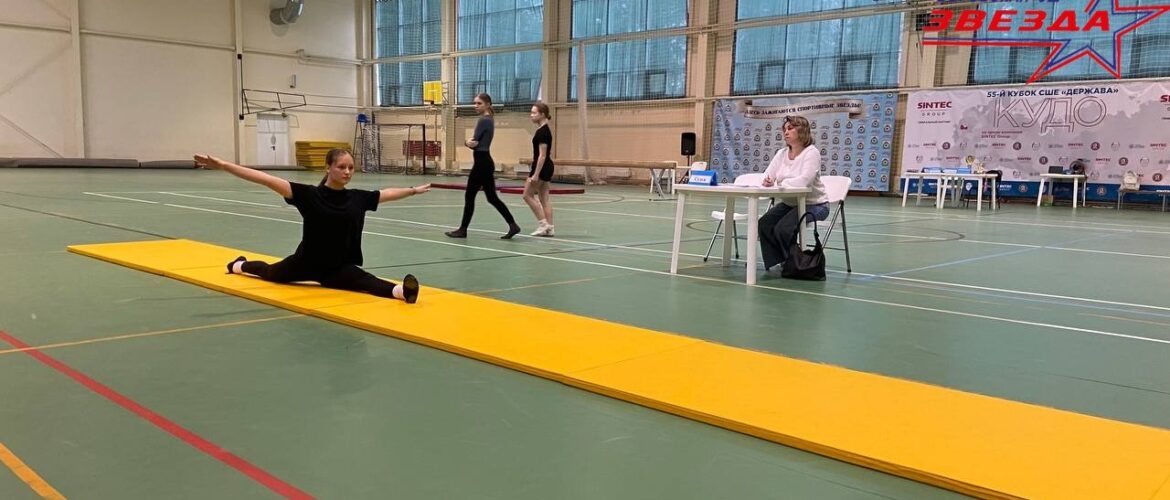 Соревнования по спортивной гимнастике